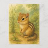 Young Chipmunk Baby Wild Animals Briefkaart (Voorkant)