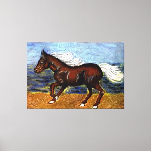 Young Colt Canvas Afdruk (Voorkant)