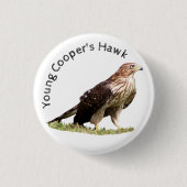 Young Cooper's Hawk Ronde Button 3,2 Cm (Voorkant)