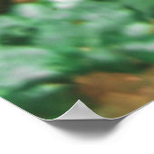 Young Cowfish Poster (Hoek)