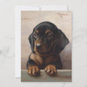 Young Dachshund | Carl Reichert (Voorkant)