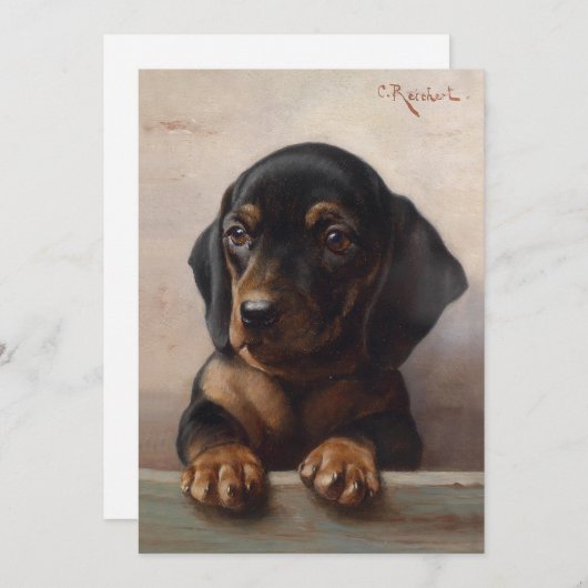 Young Dachshund | Carl Reichert (Voorkant / Achterkant)
