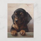 Young Dachshund | Carl Reichert Briefkaart (Voorkant)