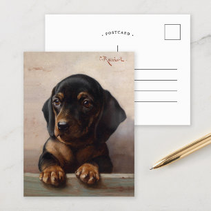 Young Dachshund   Carl Reichert Briefkaart