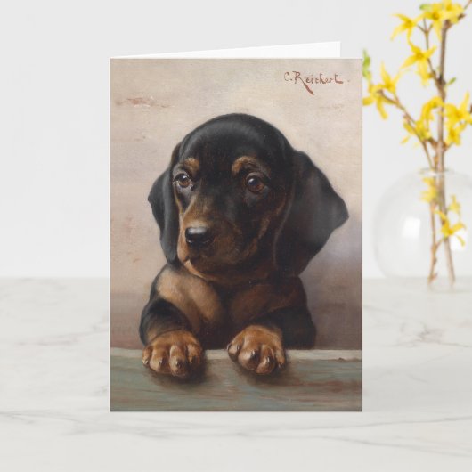 Young Dachshund | Carl Reichert Kaart (Gele Bloem)