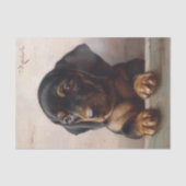 Young Dachshund door Carl Reichert Tissuepapier (Voorkant)