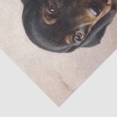Young Dachshund door Carl Reichert Tissuepapier (Detail)