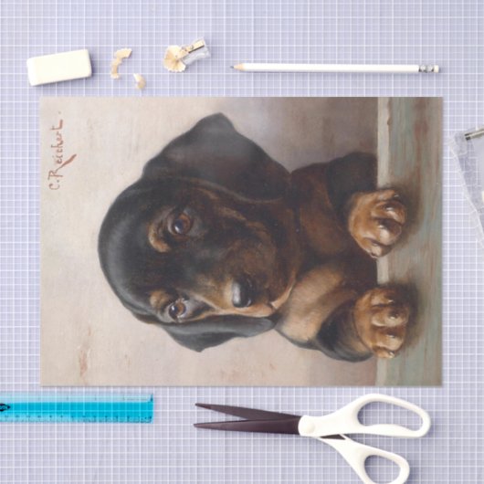 Young Dachshund door Carl Reichert Tissuepapier (Craft)
