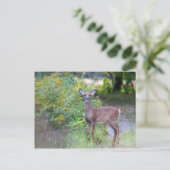 Young Deer Briefkaart (Staand voorkant)