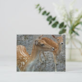 Young Deer Briefkaart (Staand voorkant)