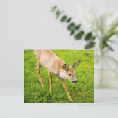 Young Deer Briefkaart (Staand voorkant)