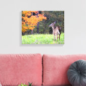 Young Deer in het najaar Canvas Afdruk (Insitu (Woonkamer))
