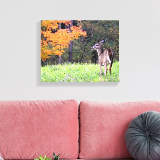 Young Deer in het najaar Canvas Afdruk (Insitu (Woonkamer))