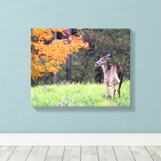 Young Deer in het najaar Canvas Afdruk (Insitu (Houten vloer))