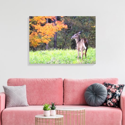 Young Deer in het najaar Canvas Afdruk (Insitu (Woonkamer))