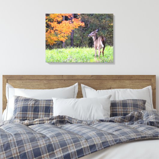 Young Deer in het najaar Canvas Afdruk (Insitu (Slaapkamer))