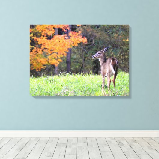 Young Deer in het najaar Canvas Afdruk (Insitu (Houten vloer))
