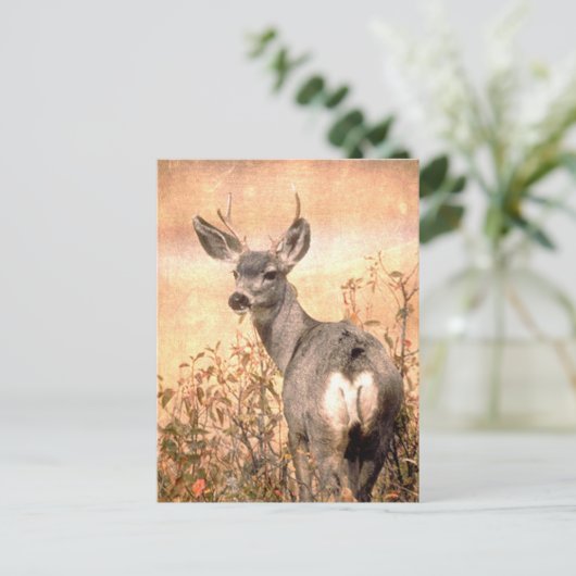Young Deer in Wildbloemen met Grungy Texture Art Briefkaart (Staand voorkant)