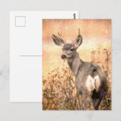 Young Deer in Wildbloemen met Grungy Texture Art Briefkaart (Voorkant / Achterkant)