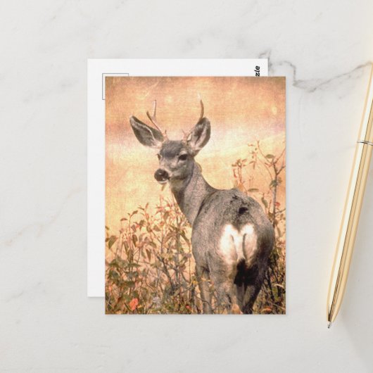 Young Deer in Wildbloemen met Grungy Texture Art Briefkaart (Voorkant / Achterkant in situ)