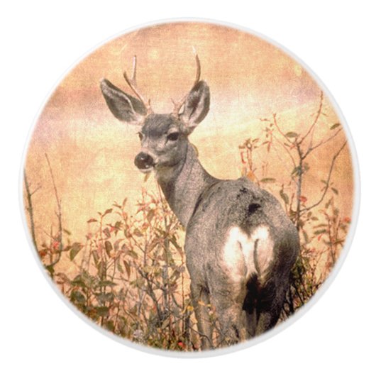 Young Deer in Wildbloemen met Grungy Texture Art Keramische Knop (Voorkant)