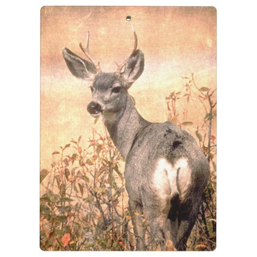 Young Deer in Wildbloemen met Grungy Texture Art Klembord (Achterkant)