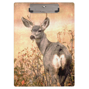 Young Deer in Wildbloemen met Grungy Texture Art Klembord