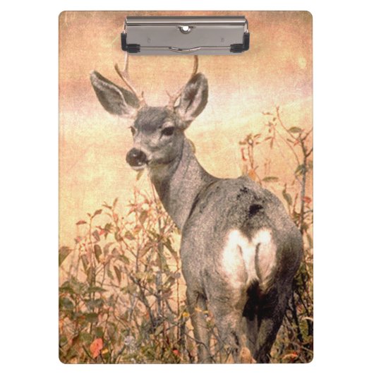 Young Deer in Wildbloemen met Grungy Texture Art Klembord (Voorkant)