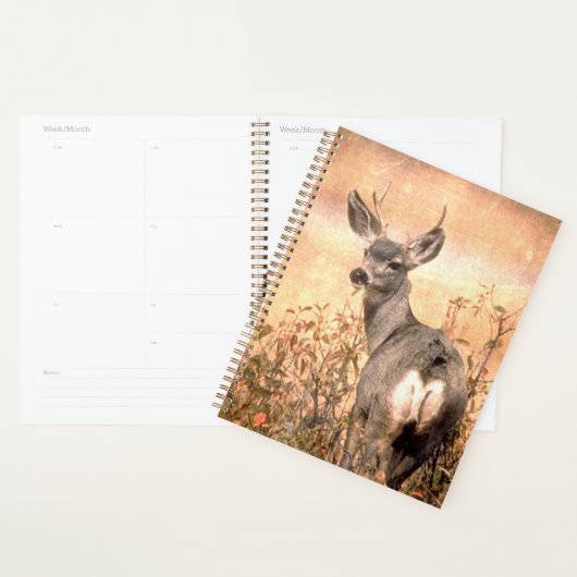 Young Deer in Wildbloemen met Grungy Texture Art Planner (Display)