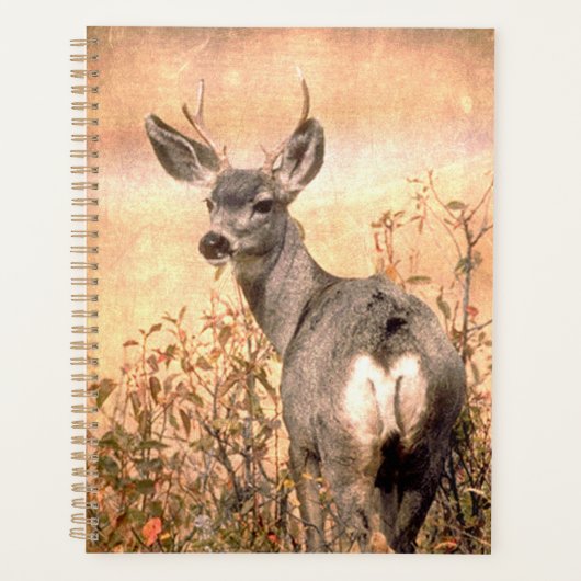 Young Deer in Wildbloemen met Grungy Texture Art Planner (Voorkant)