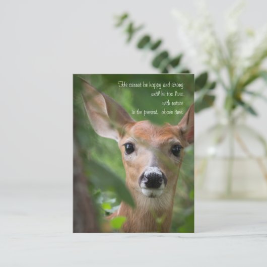 Young Deer with Emerson Quote Briefkaart (Staand voorkant)