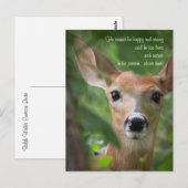 Young Deer with Emerson Quote Briefkaart (Voorkant / Achterkant)