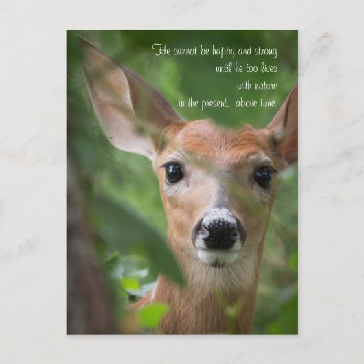 Young Deer with Emerson Quote Briefkaart (Voorkant)