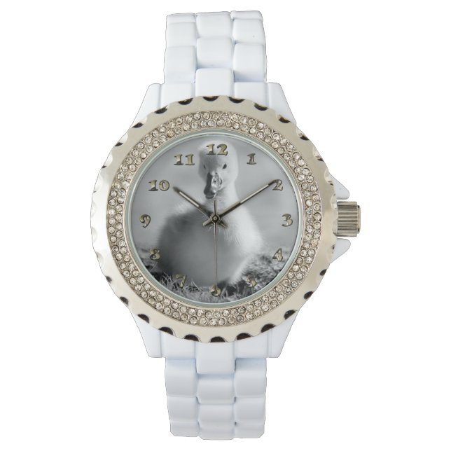 Young Ducking Swan Horloge (Voorkant)