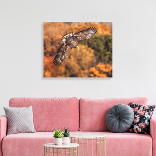Young Eagle Wings Autumn Canvas Print (Insitu (Woonkamer))