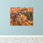 Young Eagle Wings Autumn Canvas Print (Insitu (Houten vloer))