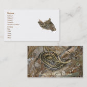 Young Eastern Garter Snake Visitekaartje (Voorkant / Achterkant)
