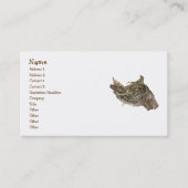 Young Eastern Garter Snake Visitekaartje (Voorkant)