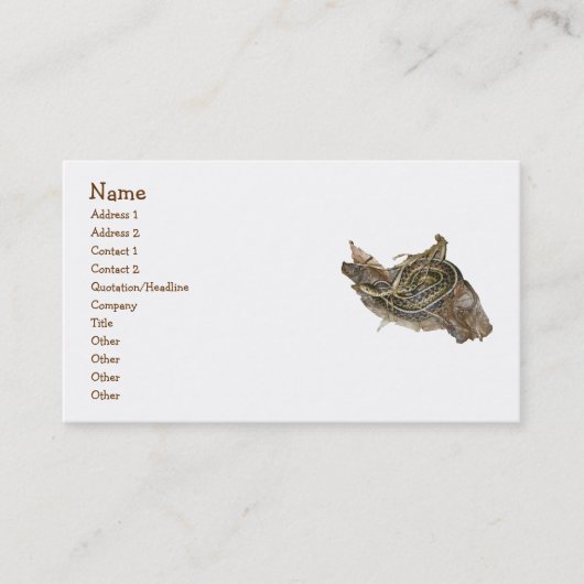 Young Eastern Garter Snake Visitekaartje (Voorkant)