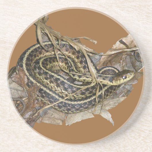 Young Eastern Garter Snake Zandsteen Onderzetter (Voorkant)