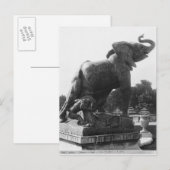 Young Elephant gevangen in een val Briefkaart (Voorkant / Achterkant)