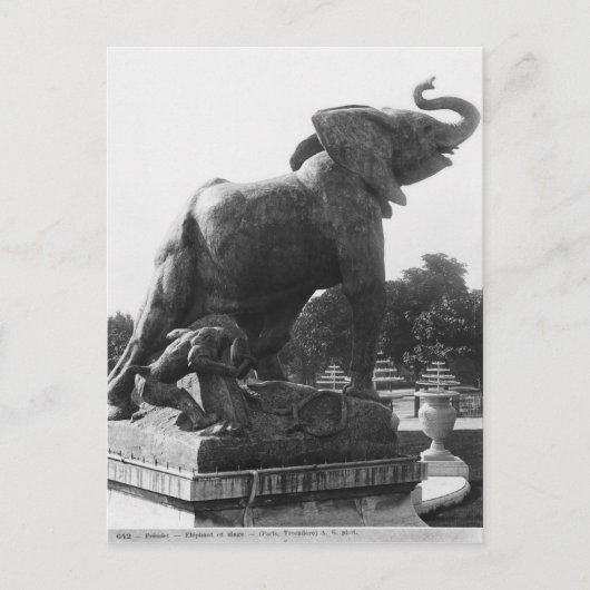 Young Elephant gevangen in een val Briefkaart (Voorkant)