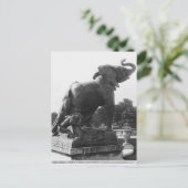Young Elephant gevangen in een val Briefkaart (Staand voorkant)