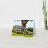 "Young Eno & Henri" Note Kaart (Voorkant)