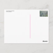 Young Eucalyptus Plantation Briefkaart (Achterkant)