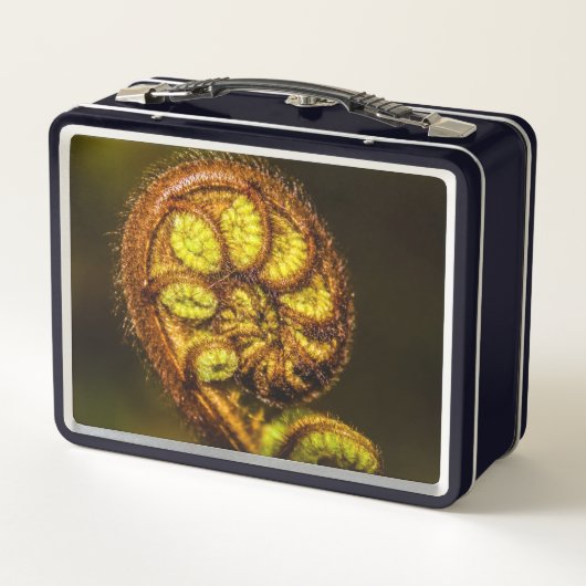 Young Fern Leaves (Achterkant)