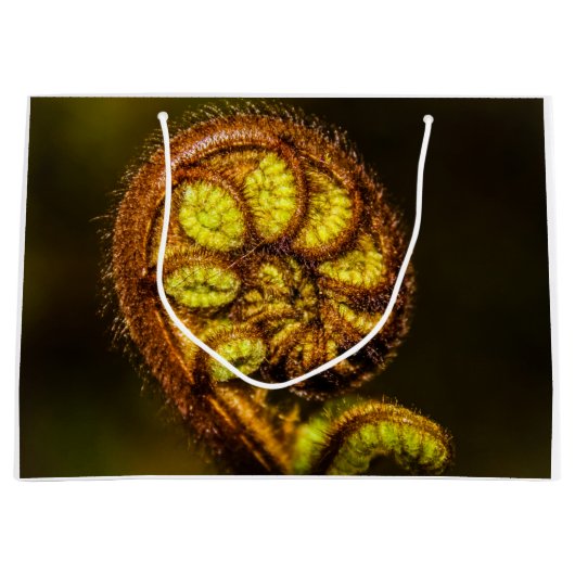 Young Fern Leaves Groot Cadeauzakje (Voorkant)