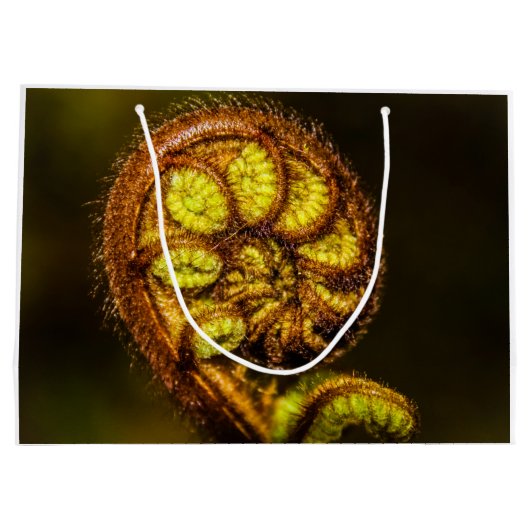 Young Fern Leaves Groot Cadeauzakje (Achterkant)
