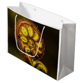 Young Fern Leaves Groot Cadeauzakje