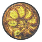 Young Fern Leaves Hockey Puck (Voorkant)